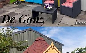 De Ganz